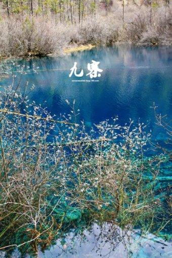 逃离伊尔波的房屋